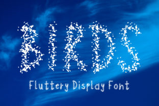 Birds: A Display Font That Elevates Your Brand
