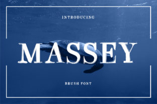 Discover Massey: A Display Font That Elevates Editorial Design