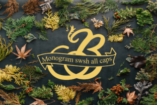 Monogram Swsh: A Polished Display Font for Branding