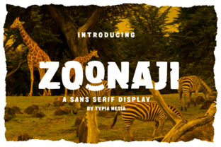 Zoonaji: A Fun Font for Business Branding